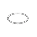Jandy FloPro FHPM Lid O-ring # R0480200