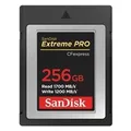 SanDisk SDCFE-256G-GN4NN 256GB Extreme PRO CFexpress Card Type B - 1700MB/s
