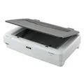 Epson Expression 13000XL Flatbed A3 Photo Scanner