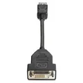 HP FH973AA DisplayPort to DVI-D Adapter (FH973AA)
