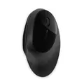 Kensington K75404WW Pro Fit Ergo Wireless Mouse - Black