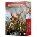 80-15 60010299029 Age of Sigmar - Warrior Starter Set (Avail: In Stock )
