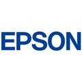 EPSON C13T02N292 202 Standard Cyan Ink Cartridge