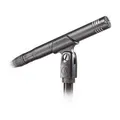 Audio-Technica AT2031 Cardioid Condenser Microphone (Avail: In Stock )