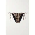 Dolce & Gabbana - Leopard-print Bikini Briefs - Leopard print - 1