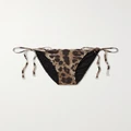 Dolce & Gabbana - Leopard-print Bikini Briefs - Leopard print - 3