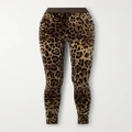 Dolce & Gabbana - Leopard-jacquard Cotton-chenille Leggings - Leopard print - IT44
