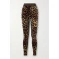 Dolce & Gabbana - Leopard-jacquard Cotton-chenille Leggings - Leopard print - IT44