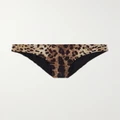Dolce & Gabbana - Leopard-print Bikini Briefs - Leopard print - 1