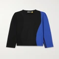 Moncler Genius - + Adidas Originals Two-tone Striped Cotton-jersey Top - Blue - medium