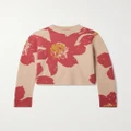 The Elder Statesman - Cropped Intarsia Cashmere Sweater - Pink - medium