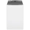 Fischer & Paykel WL1064G1 10kg Top Loader Washing Machine with UV Sanitise