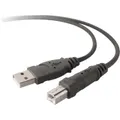 Belkin Hi Speed USB Cable (1.8 Metres)