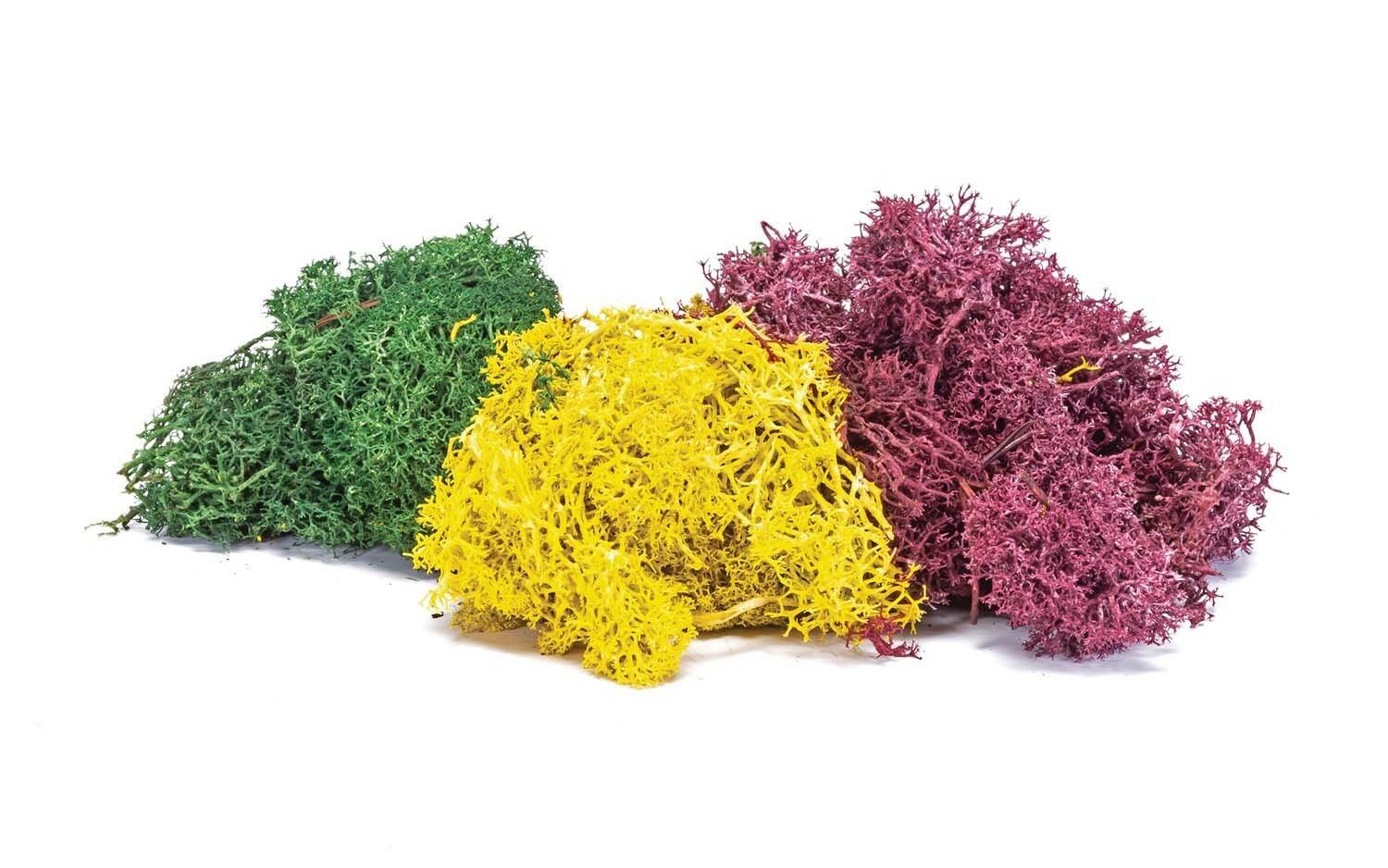 Hornby Skale Scenics Lichen Ho & Oo Model Train Accessories