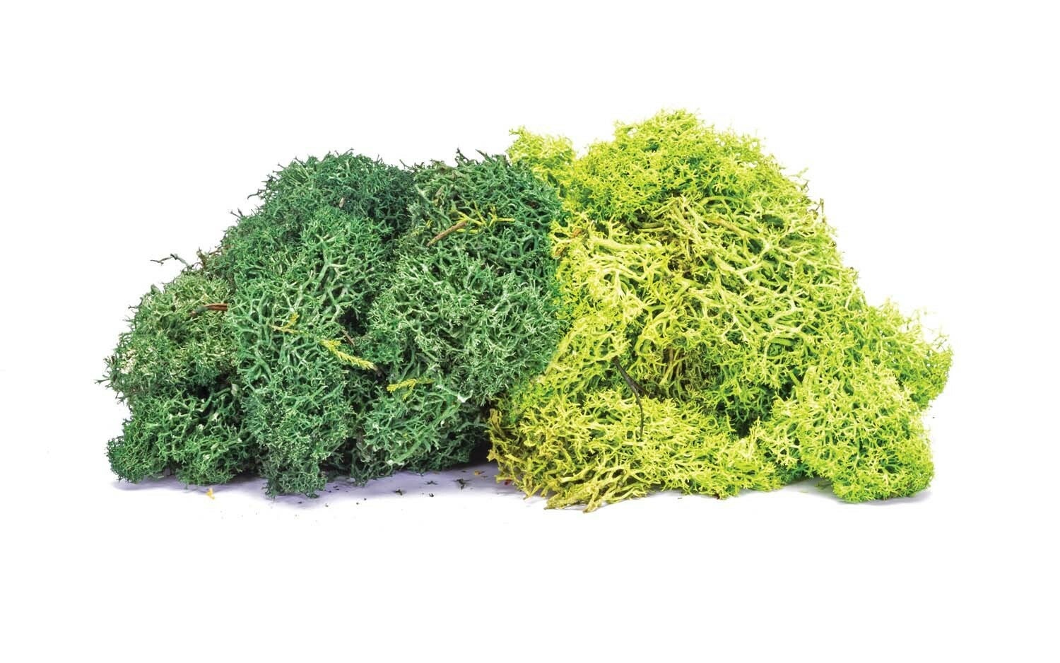 Hornby Skale Scenics Lichen Ho & Oo Model Train Accessories