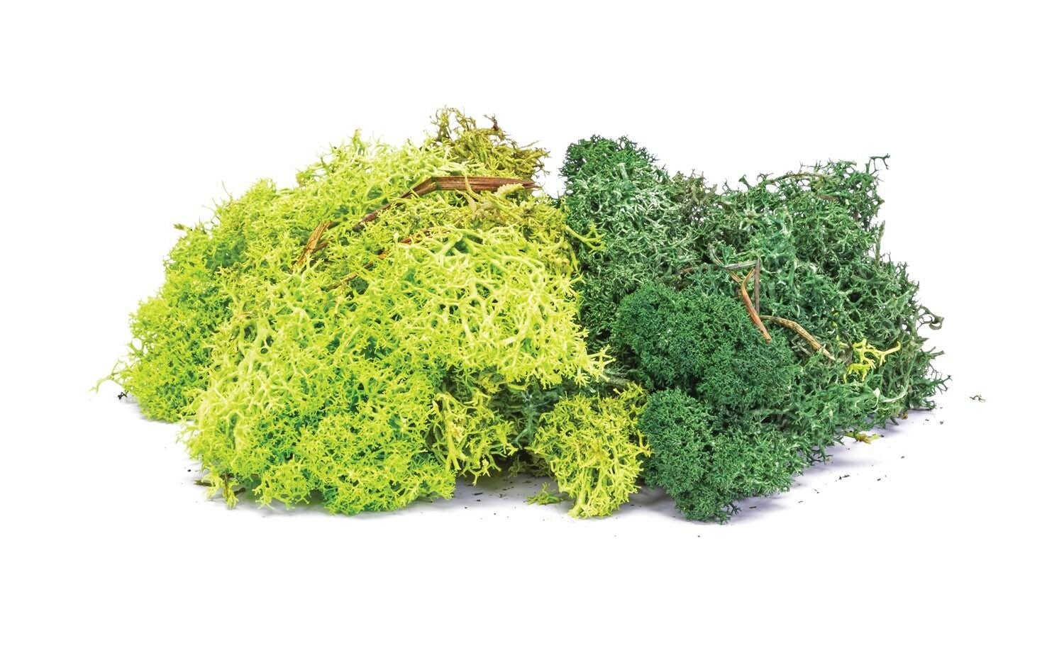 Hornby Skale Scenics Lichen Ho & Oo Model Train Accessories