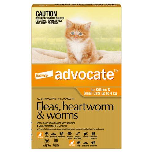 Advocate For Small Cats Under 4kg Orange Fleas Worms Heartworm