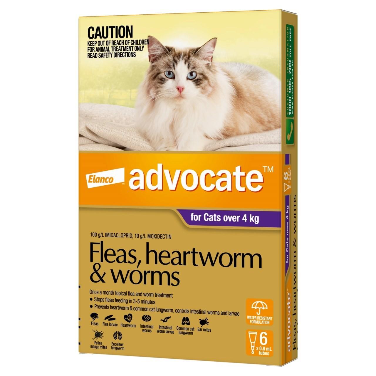 Advocate Flea & Worm Control For Cats Over 4kg - 6 Pack