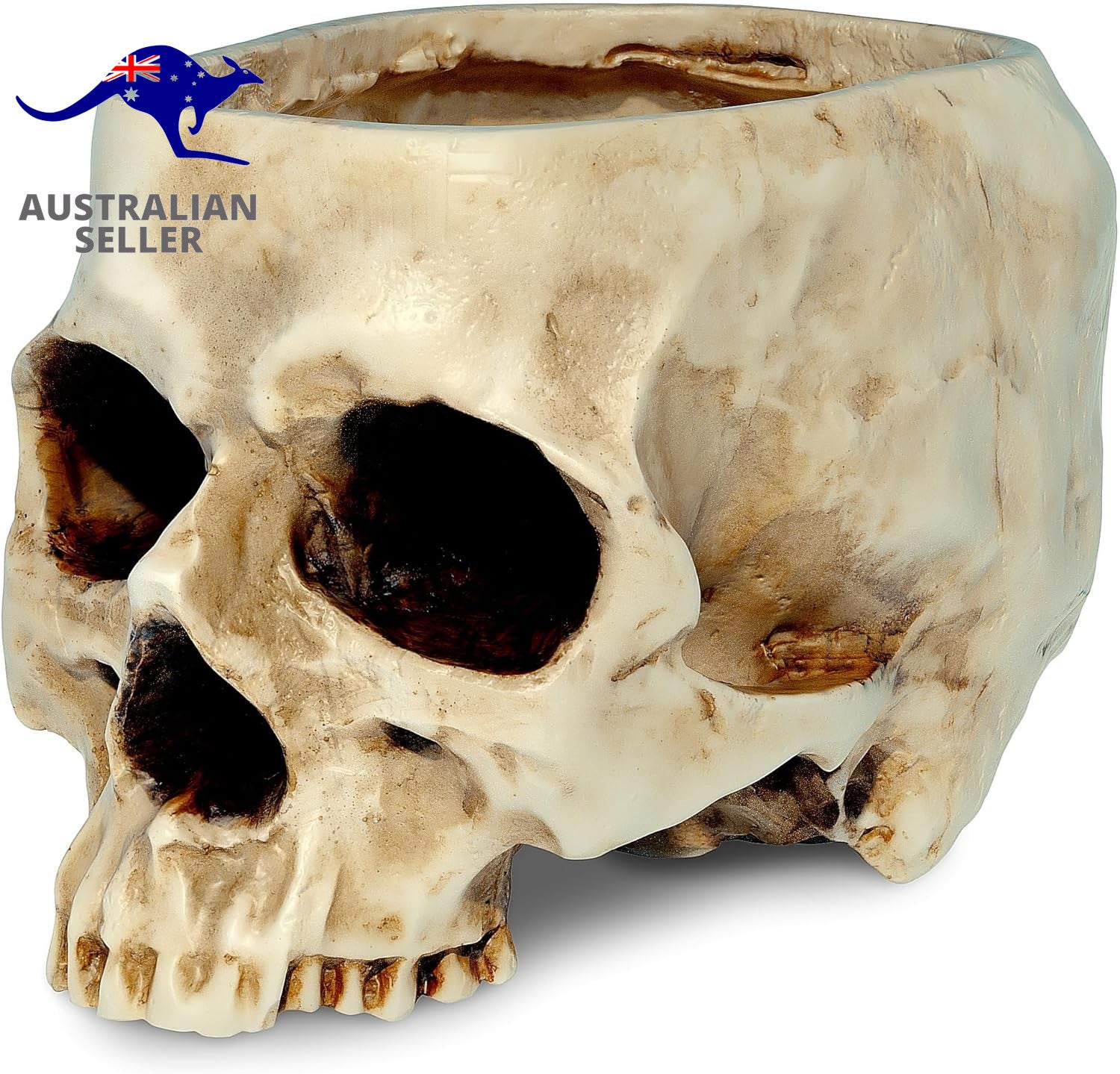 Skull Bowl Resin Skull Shaped Planter Flower Pot Candy Bowl For Home