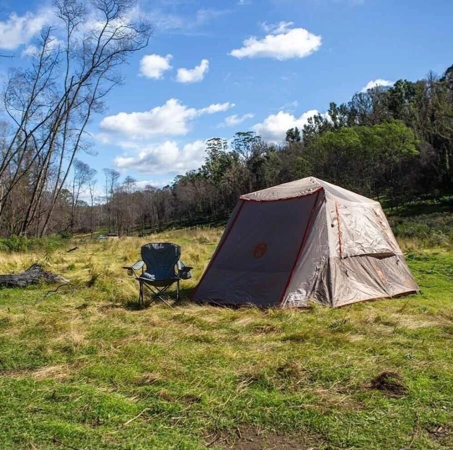 Coleman 2126162 Silver Evo Series 4 Person Instant Up Camping Tent