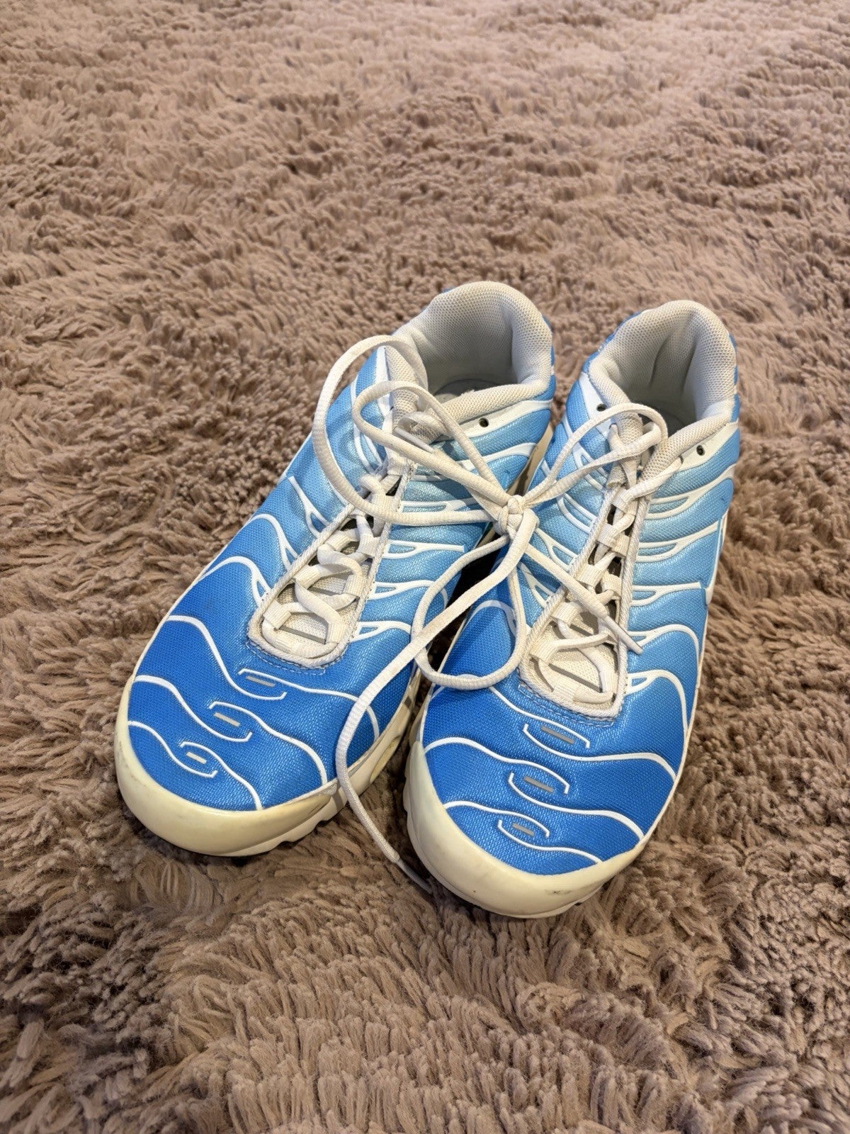 Nike Air Max Plus Tn Tuned 1 Sky Blue White Mens Us 10 Eur 44
