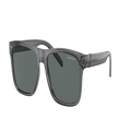 ARNETTE Man Sunglasses AN4298 Bandra - Frame color: Transparent Gray, Lens color: Polarized Dark Grey