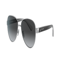 COACH Woman Sunglasses HC7111 L1128 - Frame color: Silver, Lens color: Dark Grey Gradient Polarized