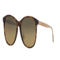 MAUI JIM Unisex Sunglasses Isola - Frame color: Tortoise Brown, Lens color: HCLU+00AD Bronze Polarized