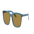ARNETTE Man Sunglasses AN4311 - Frame color: Transparent Blue, Lens color: Dark Brown Polar