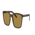 ARNETTE Man Sunglasses AN4311 - Frame color: Matte Brown, Lens color: Dark Brown Polar