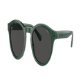 POLO RALPH LAUREN Man Sunglasses PH4192 - Frame color: Shiny Transparent Green, Lens color: Dark Grey