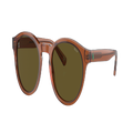 POLO RALPH LAUREN Man Sunglasses PH4192F - Frame color: Shiny Transparent Brown, Lens color: Dark Brown Olive