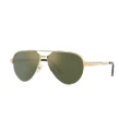 CARTIER Man Sunglasses CT0386S - Frame color: Gold, Lens color: Bronze