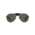 CARTIER Man Sunglasses CT0387S - Frame color: Gold, Lens color: Grey