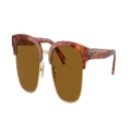 COACH Man Sunglasses HC8326 C6194 - Frame color: Caramel Tortoise/Light Gold, Lens color: Brown Solid Polarized