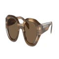 EMPORIO ARMANI Man Sunglasses EA4230U - Frame color: Shiny Striped Brown, Lens color: Dark Brown