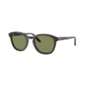 GIORGIO ARMANI Man Sunglasses AR8170 - Frame color: Striped Brown, Lens color: Bottle Green