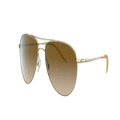 OLIVER PEOPLES Man Sunglasses OV1002S Benedict - Frame color: Gold, Lens color: Clear Gradient Brown