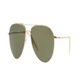 OLIVER PEOPLES Man Sunglasses OV1002S Benedict - Frame color: Gold, Lens color: Green Polar