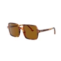 RAY-BAN Woman Sunglasses RB1973 Square II - Frame color: Striped Havana, Lens color: Brown