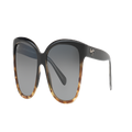 MAUI JIM Woman Sunglasses 744Starfish - Frame color: Tortoise Black, Lens color: Grey Gradient Polarized