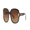 COACH Woman Sunglasses HC8169 L149 - Frame color: Black, Lens color: Brown Gradient