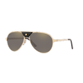 CARTIER Man Sunglasses CT0034S - Frame color: Gold, Lens color: Grey