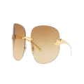 CARTIER Unisex Sunglasses CT0062S - Frame color: Gold Shiny, Lens color: Brown