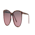 MAUI JIM Woman Sunglasses 723 Ocean - Frame color: Tortoise Pink, Lens color: Maui RoseU+00AD Gradient Polarized