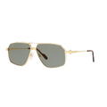 CARTIER Man Sunglasses CT0270S - Frame color: Gold, Lens color: Green