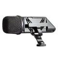 Rode Stereo VideoMic On-Camera Microphone