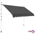 vidaXL Manual Retractable Awning 250 cm Anthracite