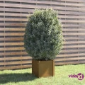 vidaXL Garden Planter Honey Brown 40x40x40 cm Solid Pinewood