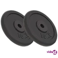 vidaXL Weight Plates 2 pcs 2x10 kg Cast Iron